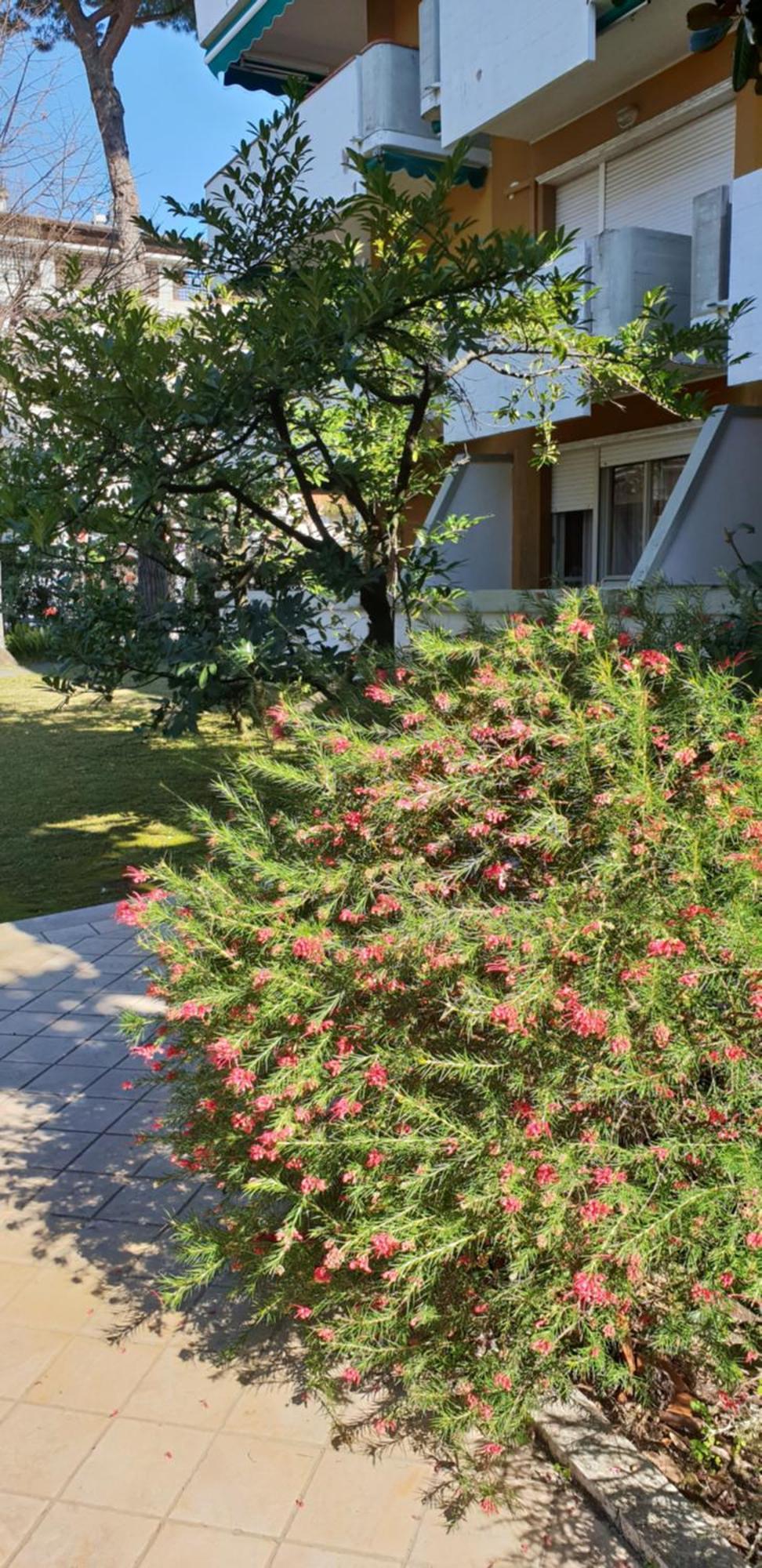 Versilia Apartment Forte dei Marmi Zewnętrze zdjęcie