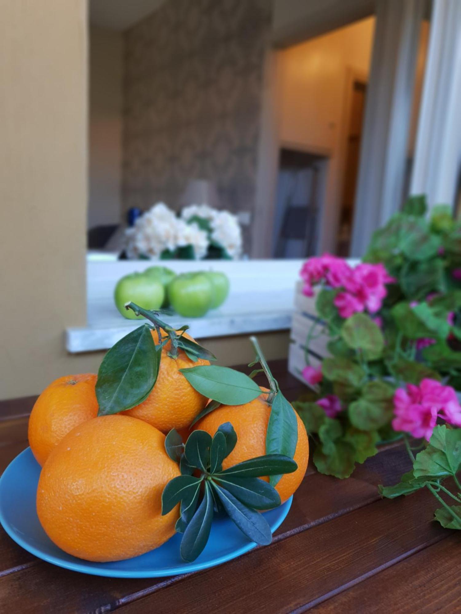 Versilia Apartment Forte dei Marmi Zewnętrze zdjęcie